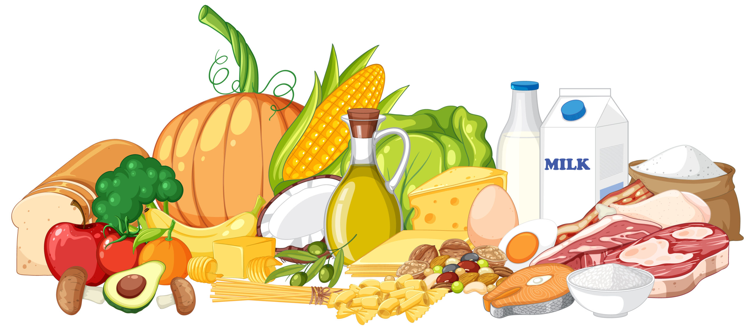 The five food groups isolated illustration